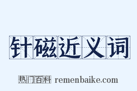 针磁近义词是什么意思的图片